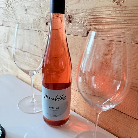 Miwo Фридрихсхафен